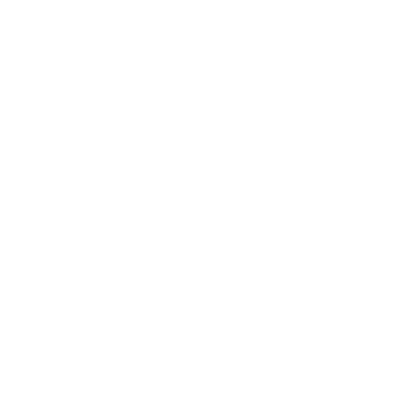 brain